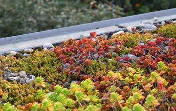 the cost of Walton On Trent green roof installation